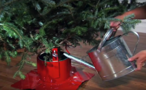 The Maids Portland - Christmas Tree Safety