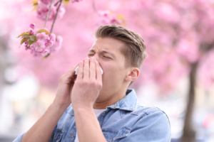 The-Maids-Portland---Summer-Allergies